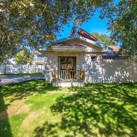 Villa Kayakoeyde Havuzlu Bahceli