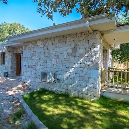 Villa Kayakoeyde Havuzlu Bahceli *