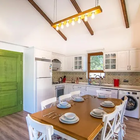 Villa Kayakoeyde Havuzlu Bahceli