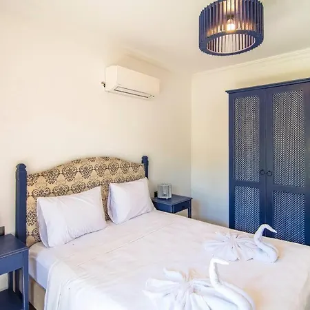 Villa Kayakoeyde Havuzlu Bahceli