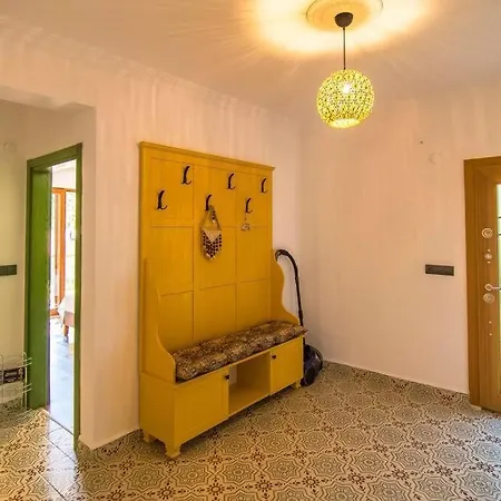 Villa Kayakoeyde Havuzlu Bahceli *